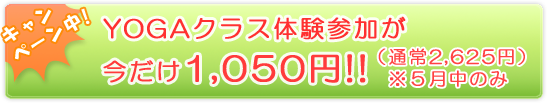 �x�n�f�`�̌��Q�����i�ʏ�2,625�~�j���P�C�O�T�O�~�ɂȂ�L�����y�[�������{���I�i�T�����̂݁j