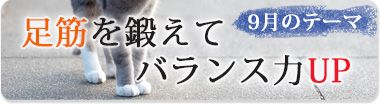 9月のテーマ『足筋を鍛えてバランス力up』