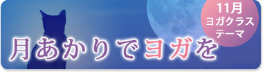 11月のテーマ『月あかりでヨガを』